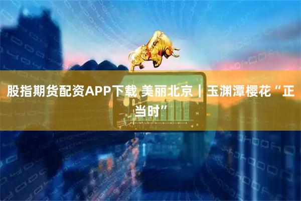 股指期货配资APP下载 美丽北京｜玉渊潭樱花“正当时”